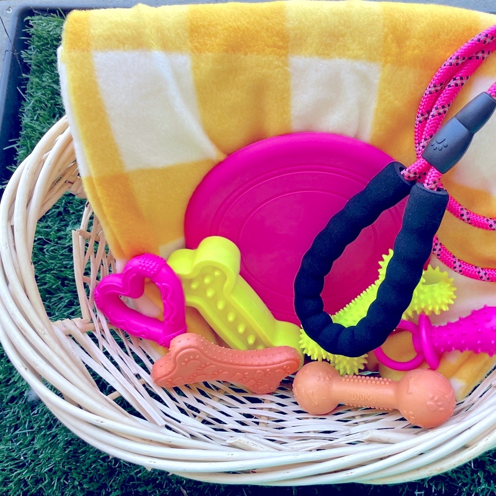 NWT 🐾💓🧺Doggy Gift Baskets 🧺 💓🐾Fur-Baby